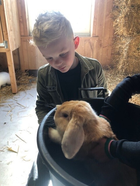 met konijnen