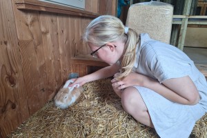 konijn aaien